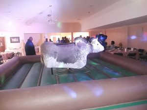 Mechanical Bull Rental in Baton Rouge